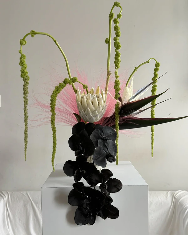 <a href="https://www.instagram.com/p/DIEeGvWOCZI/?img_index=1">Seeking Floral Arrangements</a>