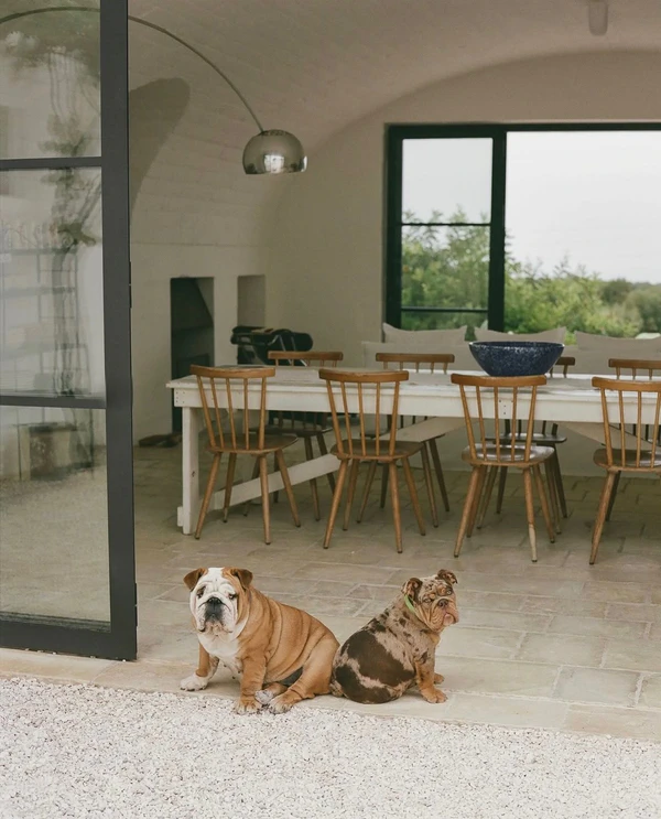 <span><a href="https://www.instagram.com/masseriamoroseta/">Masseria Moroseta</a>, Content: </span><a href="https://www.instagram.com/p/DZkpPtDFpEr/?img_index=1">Plus One Dog</a>