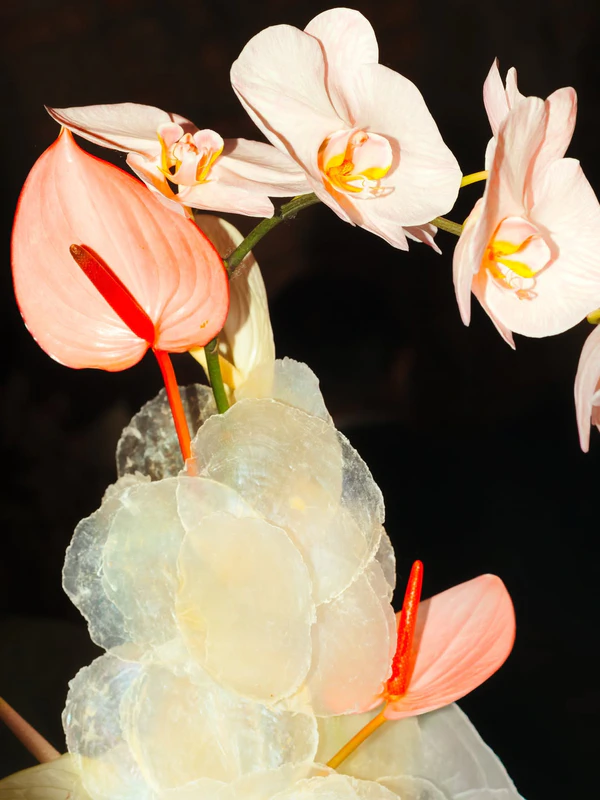 <a href="https://www.instagram.com/soya_florist/p/DbCRE4HGdj7/">Soya</a>
