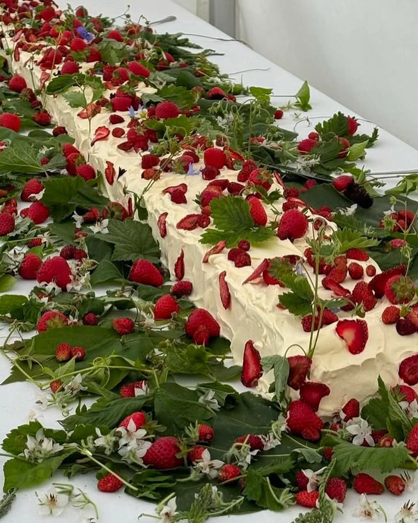 10 Major Cake Trends for 2026