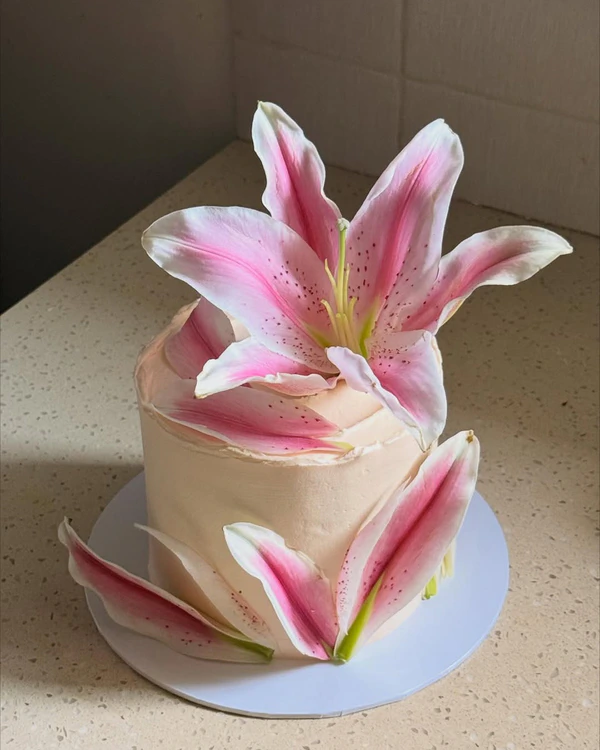 <a href="https://www.instagram.com/p/DQYVycGj2Bq/?img_index=1" target="_blank">I Shouldn't Have Eaten That Cake</a>