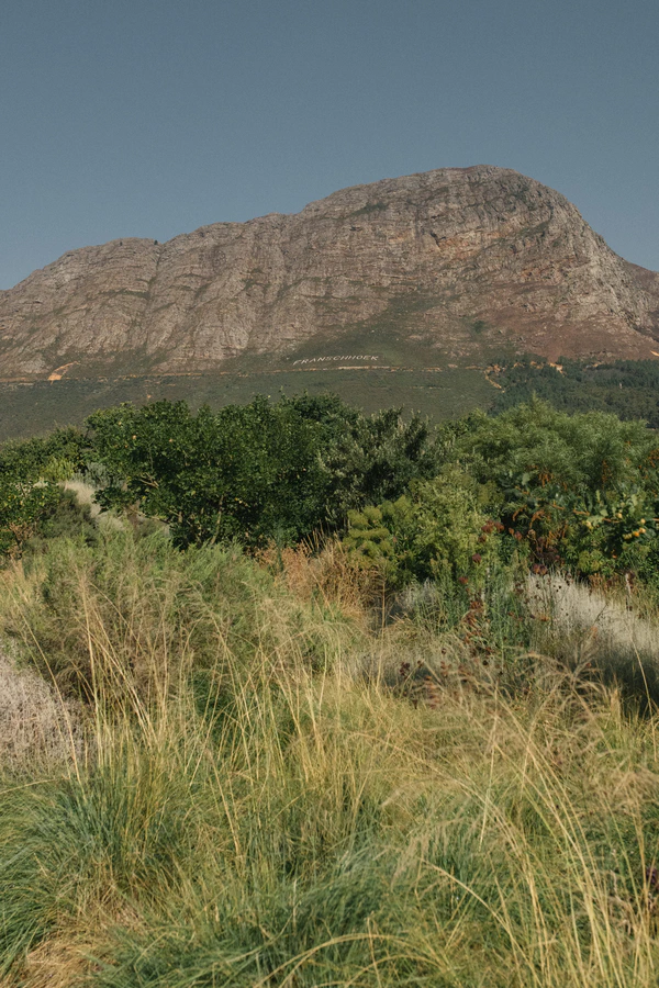 Inside an Artfully Designed Vineyard Wedding Weekend Beneath Table Mountain in South Africa