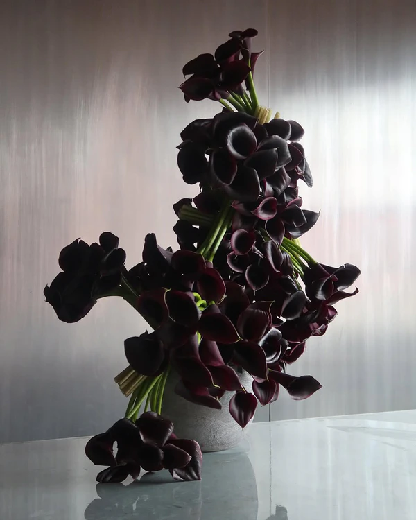 <a href="https://www.instagram.com/p/DO8jq5ADjHF/?img_index=1">Love Me Not Floral</a>