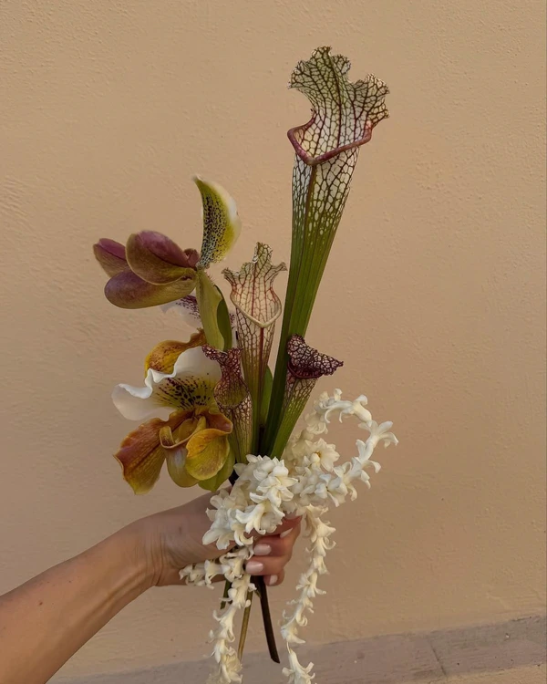 14 Major Floral Trends for 2026