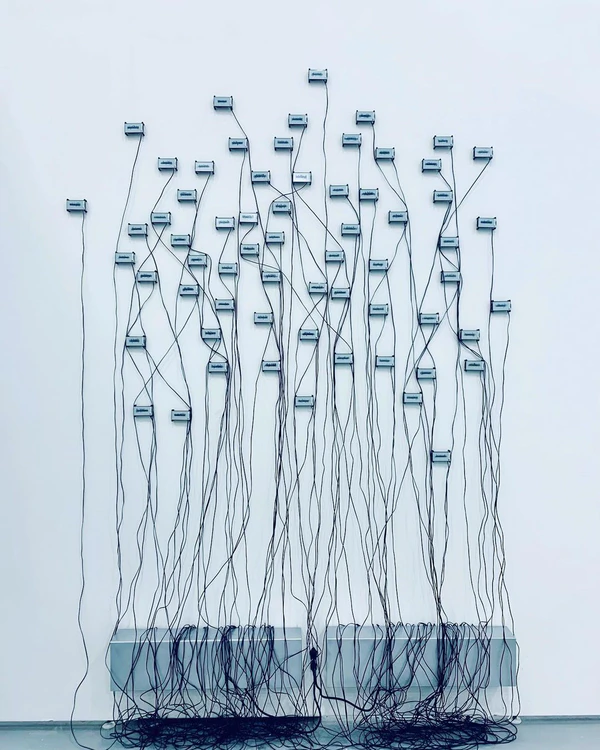 5 Art Exhibitions to Visit in Sydney