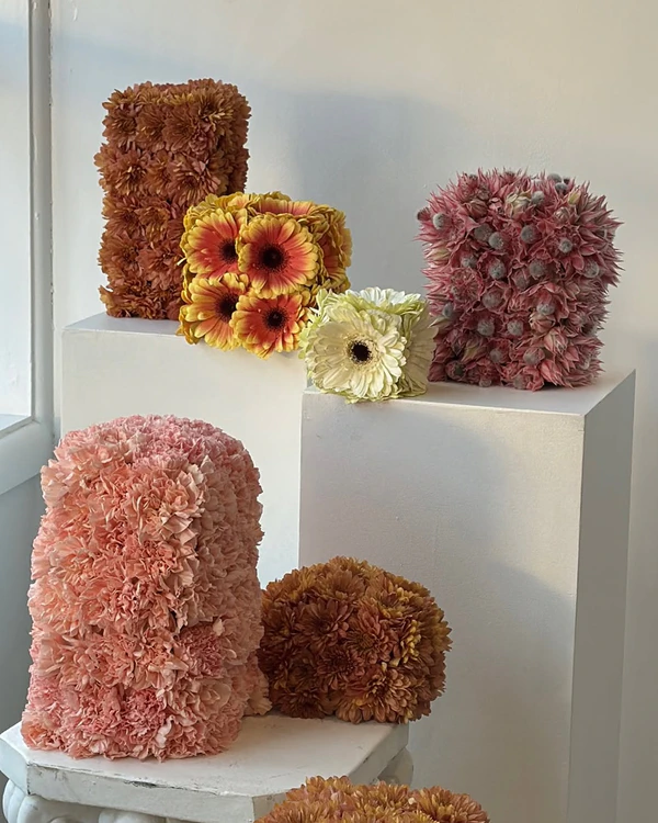 <a href="https://www.instagram.com/p/DaxF-SBEbjU/">Evolve Floral</a>