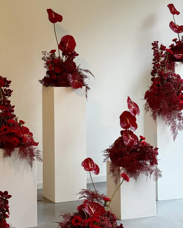 <a href="https://www.instagram.com/p/DEMSDJzShOJ/?img_index=1">Rae Blooms</a>