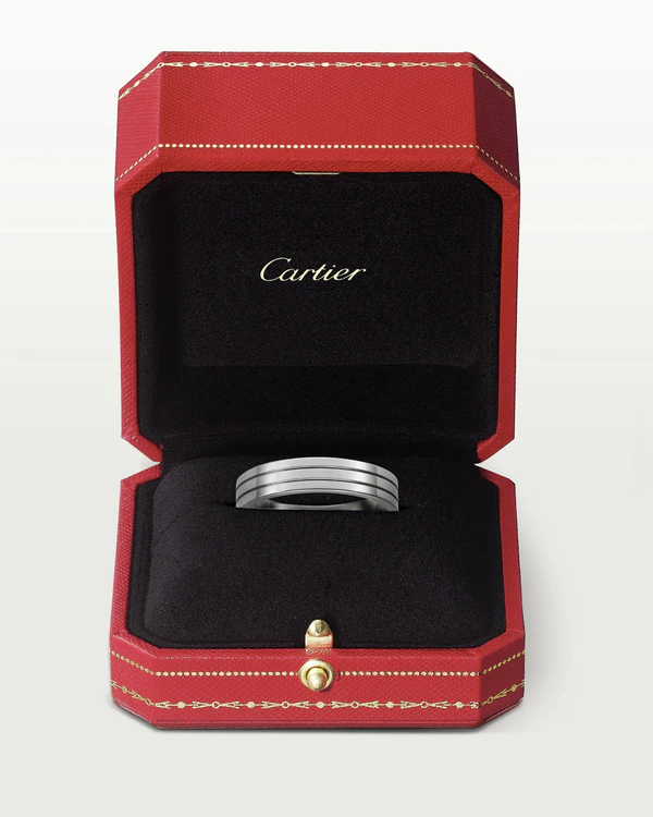 Metals Guide: Men's Wedding Bands — photo 2