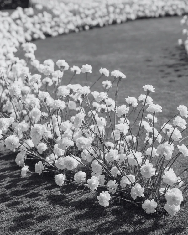 30 Fresh Ideas for Unique Aisle & Ceremony Seating