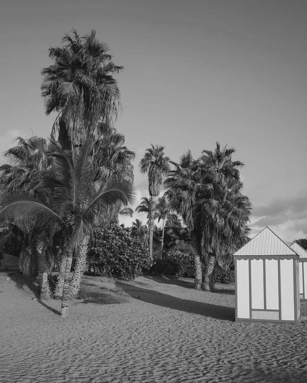 Best Beach Destinations for Winter Escape