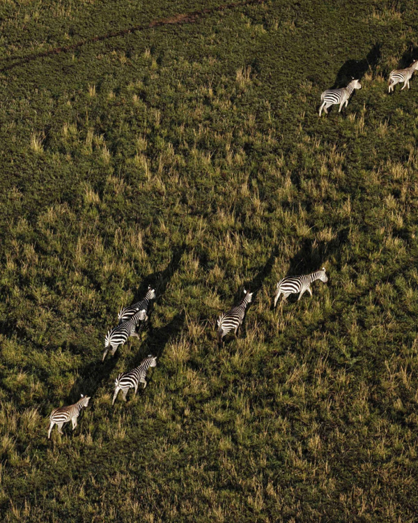 14 Luxury African Safari Lodges & Resorts for an Unforgettable Honeymoon — photo 1