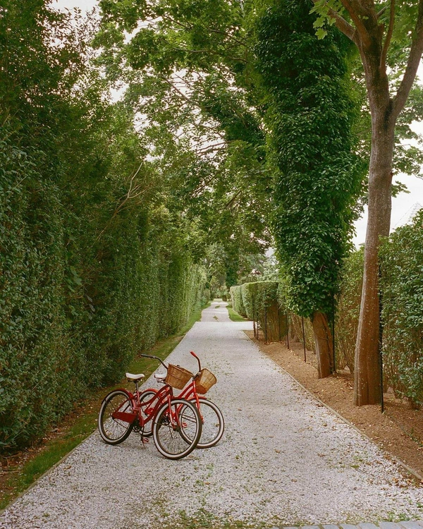 Romantic Things to Do in Melbourne for Couples