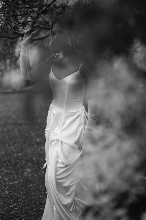 L'Amour De Ma Vie at Greyleigh's Homestead
