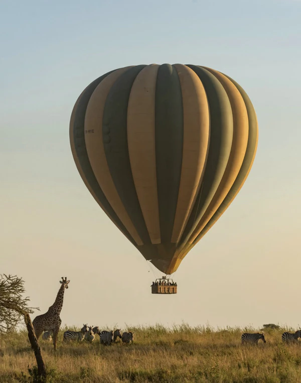 <a href="https://www.instagram.com/p/DagYLQrIQab/?hl=en">Four Seasons Safari Surf Lodge Serengeti</a>
