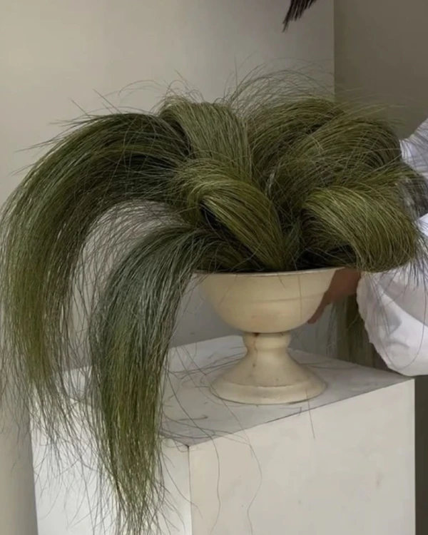Trend: Woven Grass Arrangements