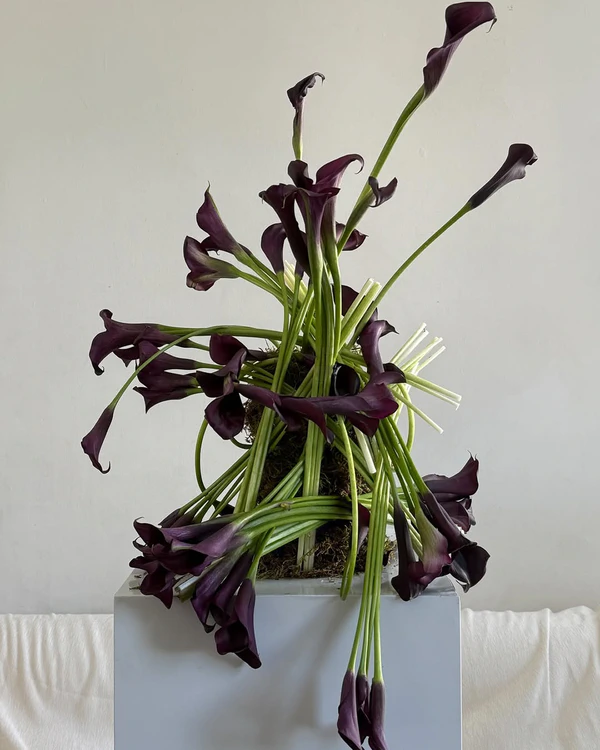 6 Colors Perfect for a Charming Winter Wedding