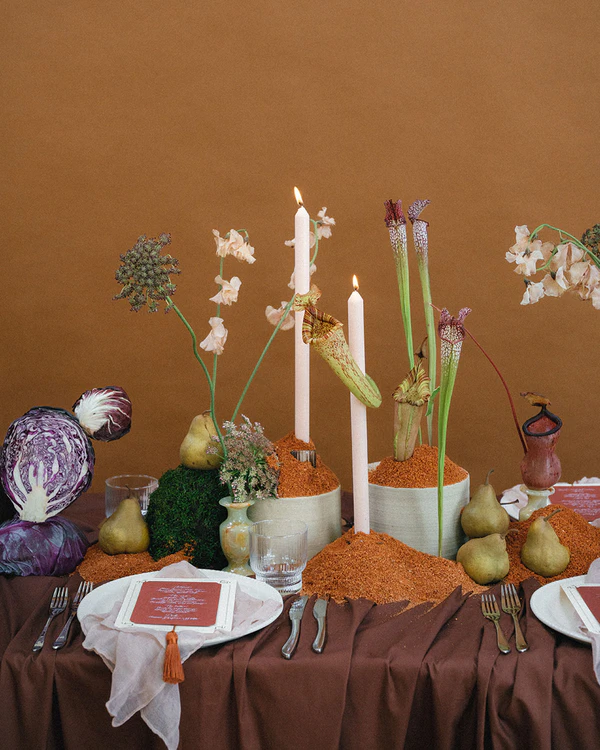 Botanical Romance — photo 2