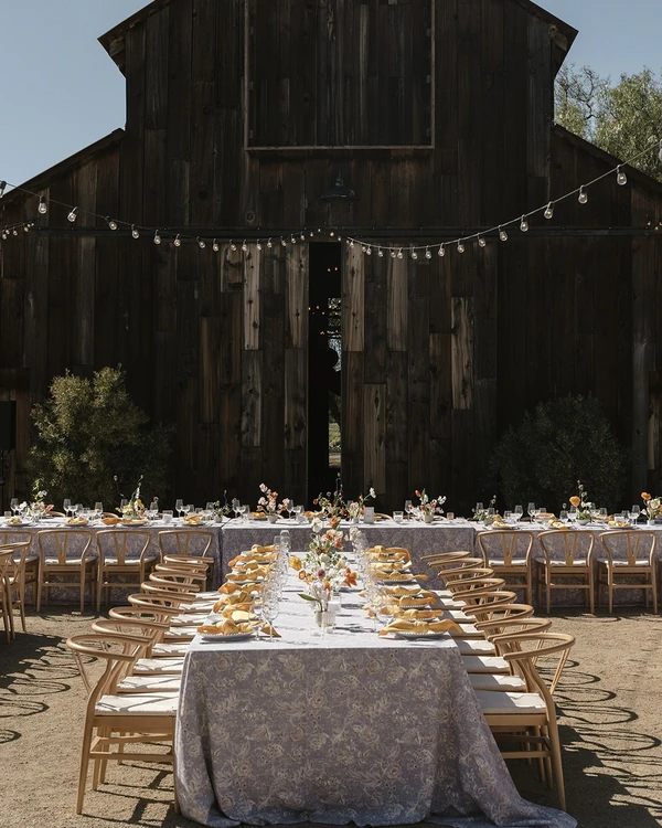 A Captivating Vineyard Wedding in California