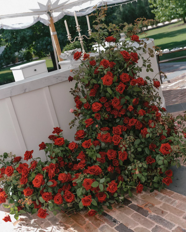 A Romantic Garden Wedding in the Australian Countryside