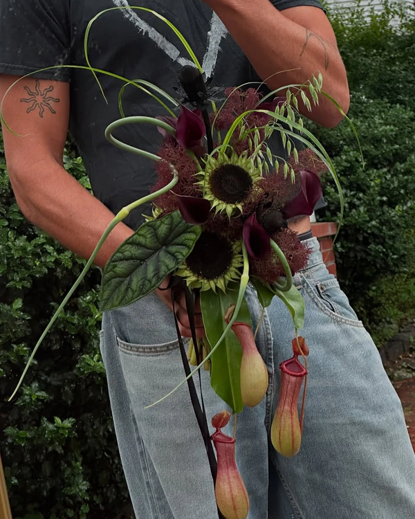 <a href="https://www.instagram.com/p/DLe8rxNOJcI/?img_index=8">Farm &amp; Son</a>
