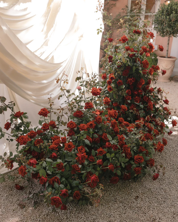 A Romantic Garden Wedding in the Australian Countryside