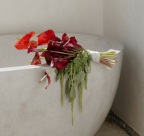 Photographers Cassidy O Photos