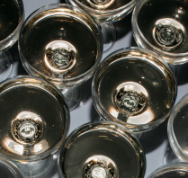 Photographers Kinship by Kristy