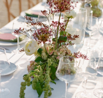 Photographers Liz Rainey