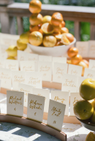 Planners Chloe Alise Events