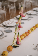 Planners Martina Por El Norte