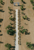 Planners Open the Door Events