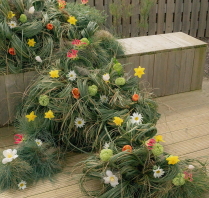 Photographers The Vernacular