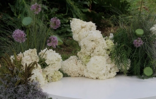 Florists Bloomer Studios