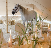 Photographers LA76 Photography