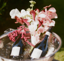 Photographers Tomas Krukis