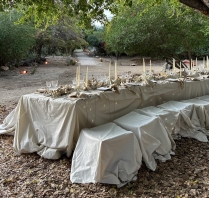 Content Creators Ever After