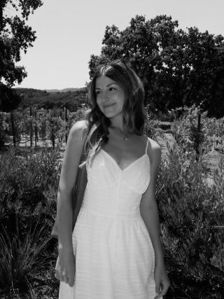 Content Creators Ce Jour Creations