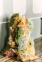 Planners Limbela Studio