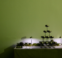 Photographers Calenrose