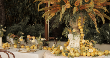 Planners Limbela Studio