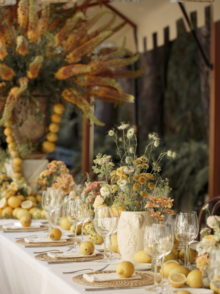 Planners Limbela Studio