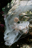 Photographers Lei Lei Clavey