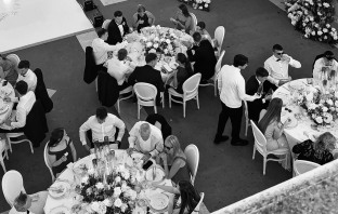 Content Creators WED SOCIAL