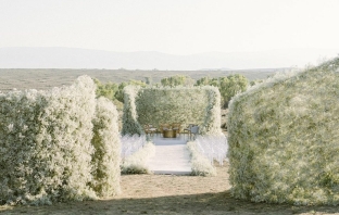 Florists Sarah Winward