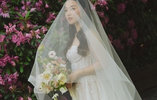 Florists Phosphorus Botanical