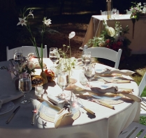 Florists Phosphorus Botanical