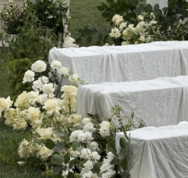 Content Creators Social Romances