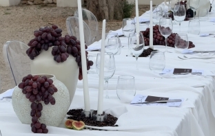 Content Creators Social Romances