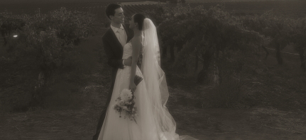 Content Creators DONATELLO