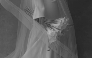 Content Creators DONATELLO